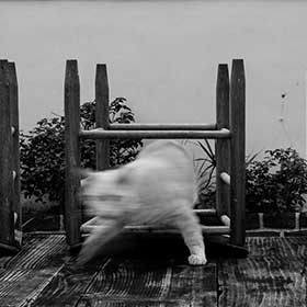 Photography<span>SoBe</span>